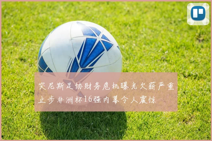突尼斯足协财务危机曝光欠薪严重止步非洲杯16强内幕令人震惊