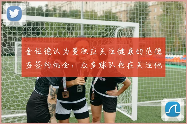 舍伍德认为曼联应关注健康的范德芬签约机会，众多球队也在关注他